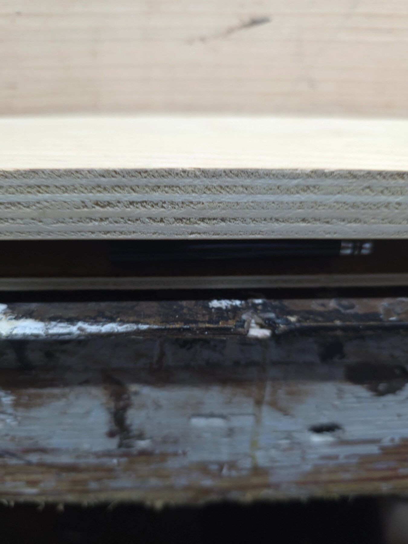 Centered close-up showing the layered edge of 3/4-inch plywood
